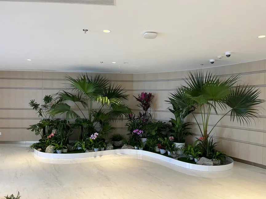 北仑盆景租赁哪家好